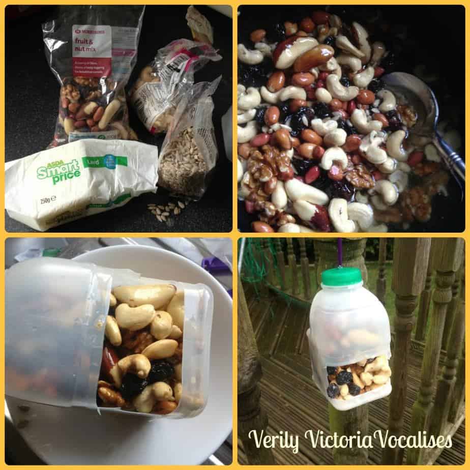 Bird food