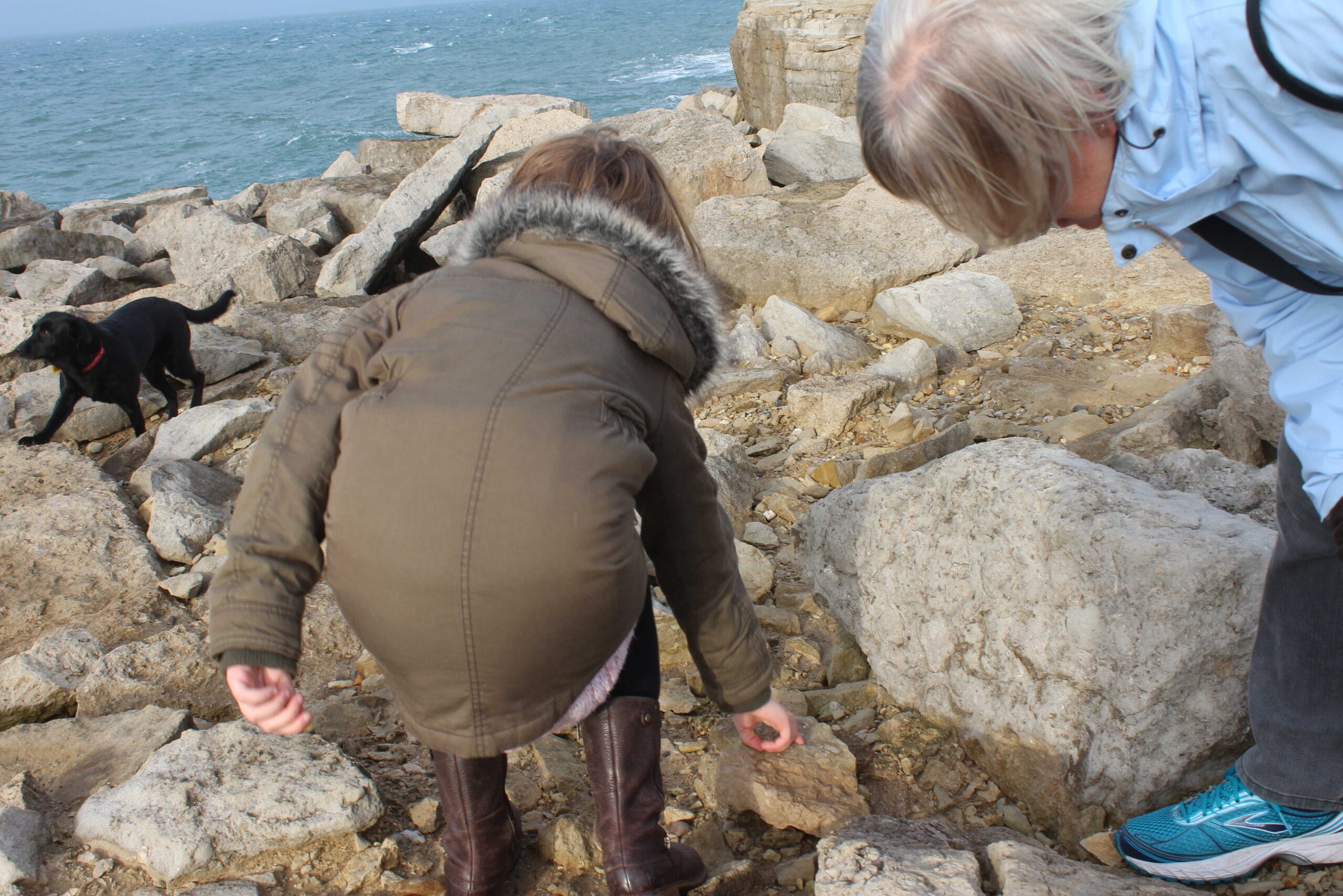 Fossil Hunting on the Jurassic Coast