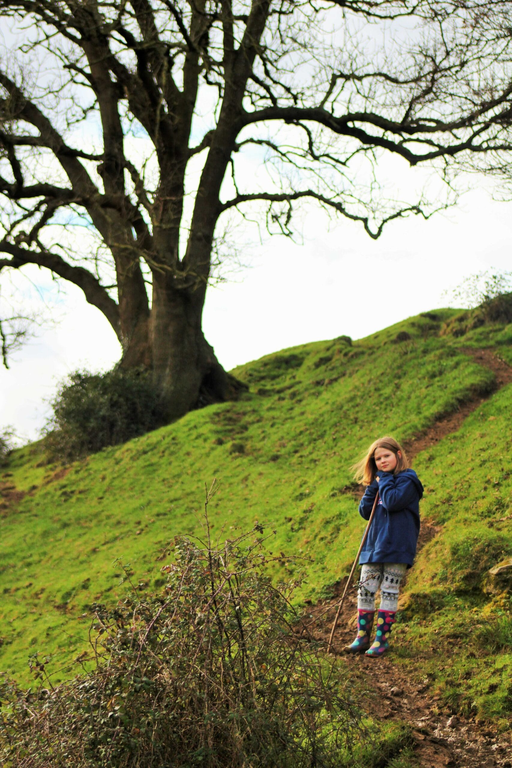 Project 365 – 25th January to 31st January 2015