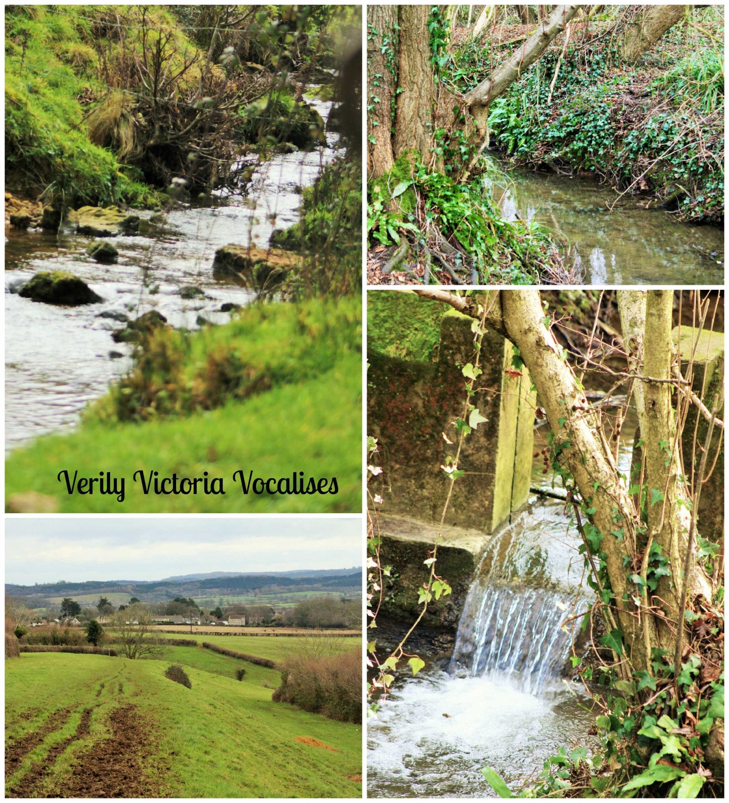 The Fields of Crewkerne. My #BetterPlaces Space.