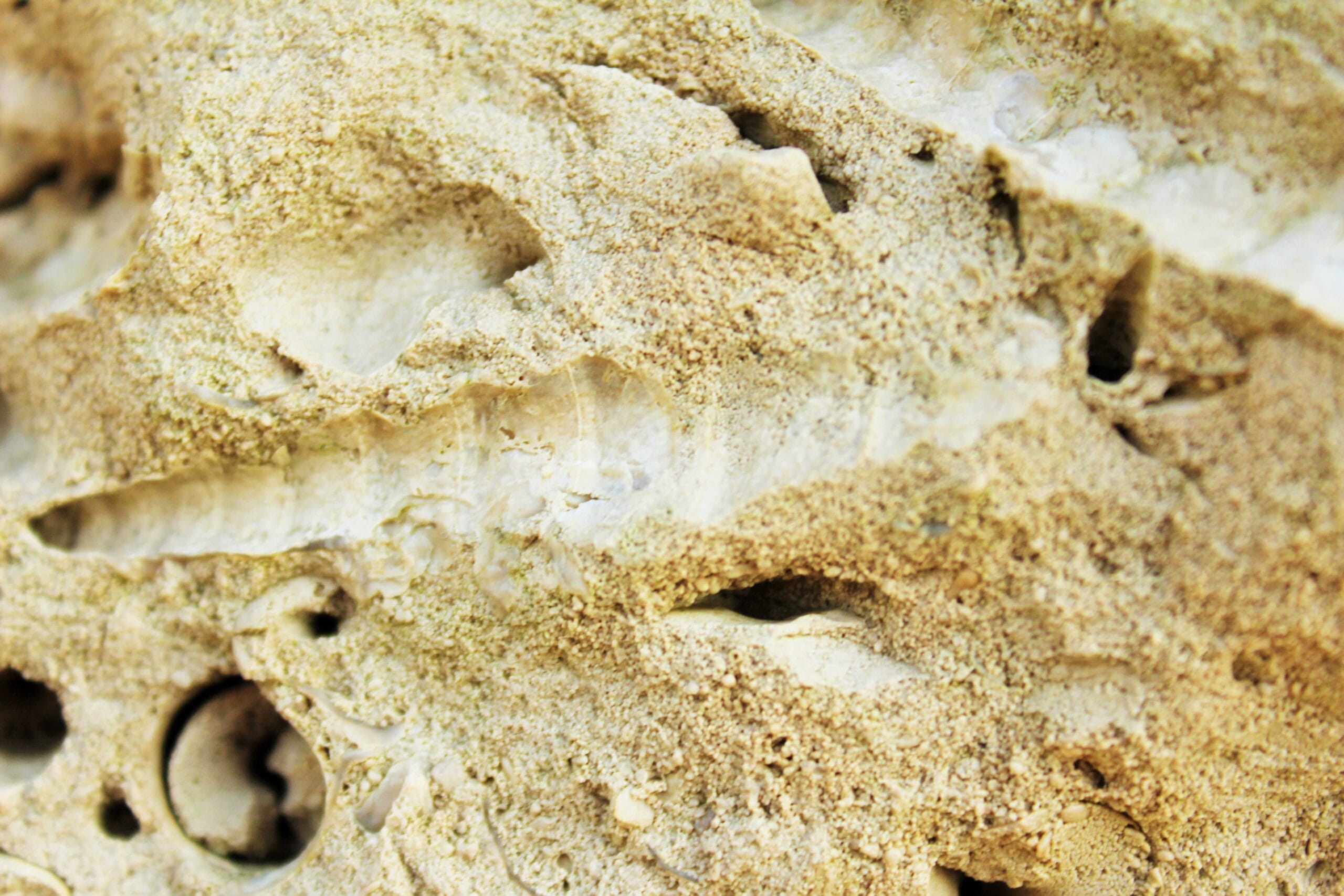 Textures. A Photography and Poetry prompt.