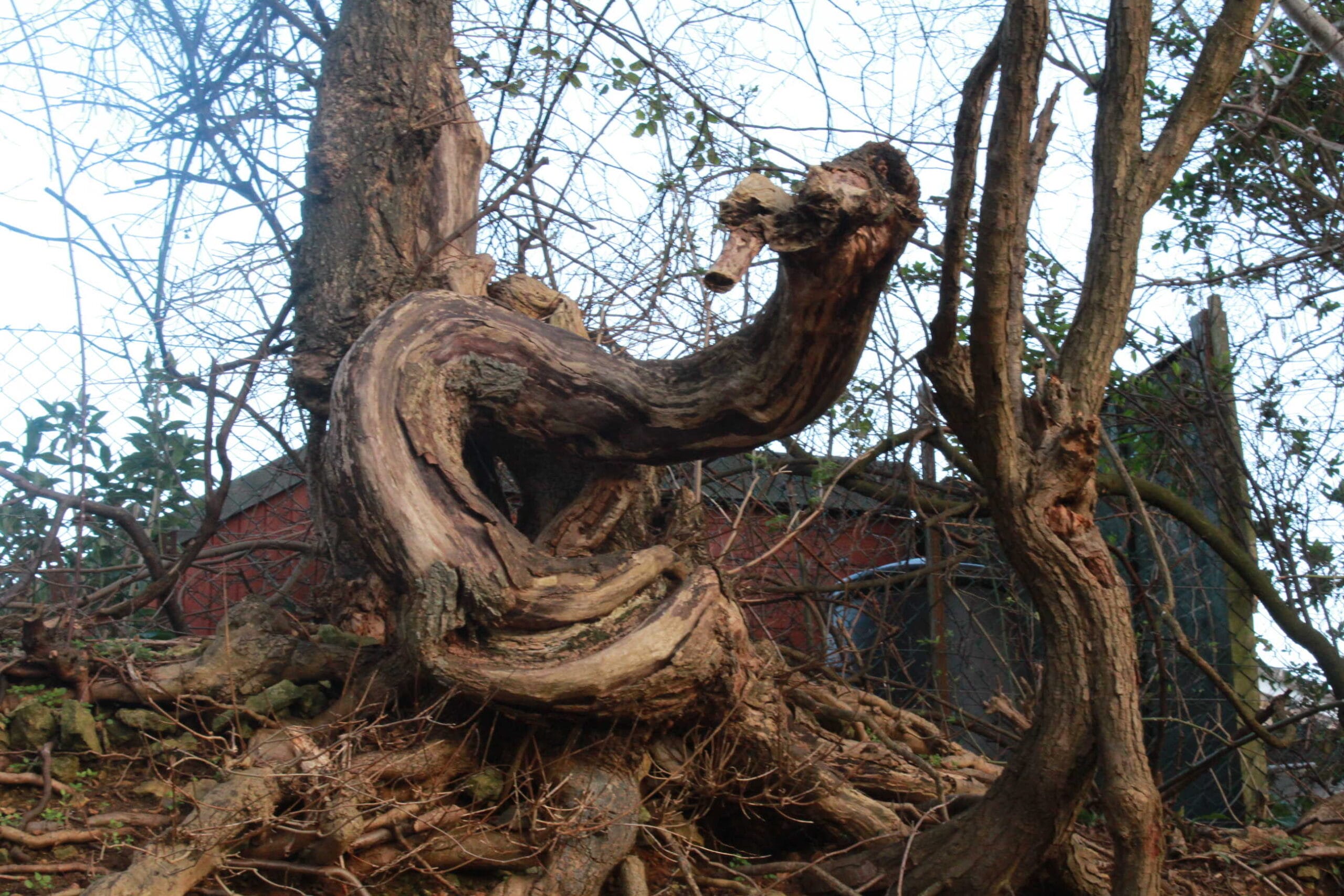 Perspective – A Photography and Poetry Prompt