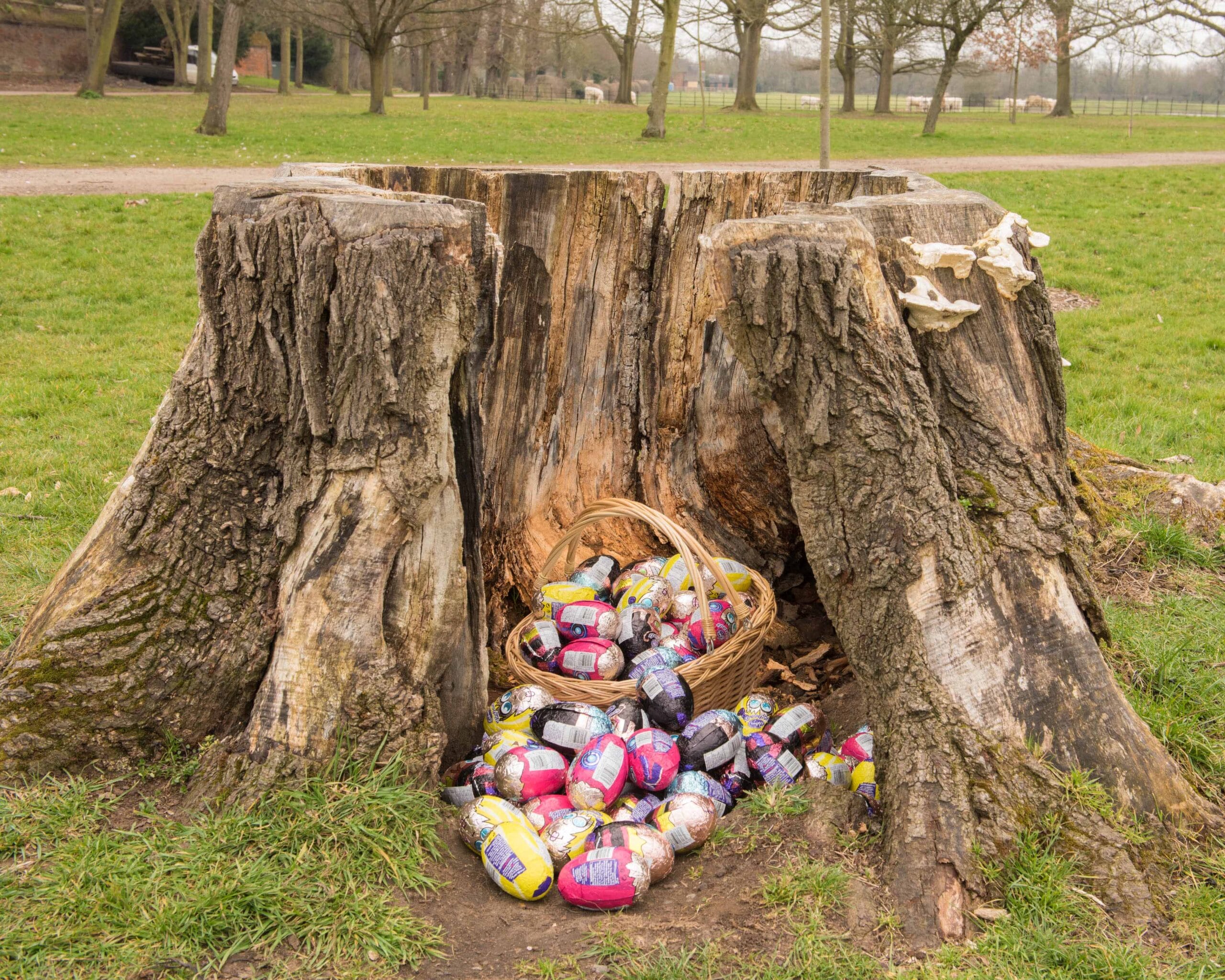 Easter Eggs, Eats, Events and Earnings