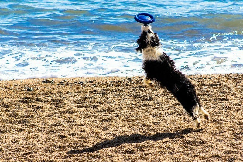 A Balancing Act