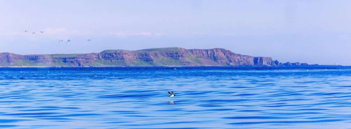 Skimming the Atlantic
