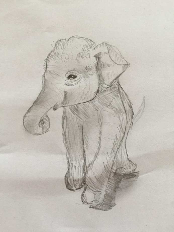 elephant