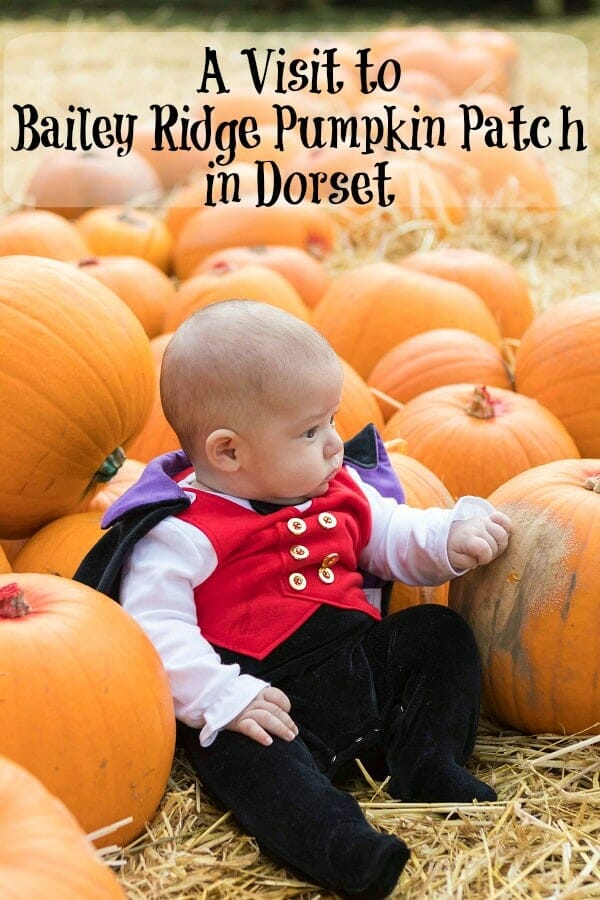 A Visit to Bailey Ridge Pumpkin Patch