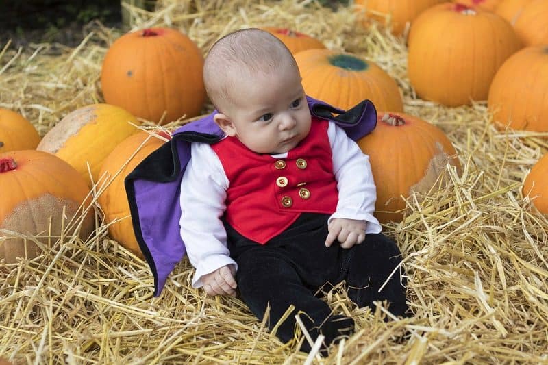 A Visit to Bailey Ridge Pumpkin Patch