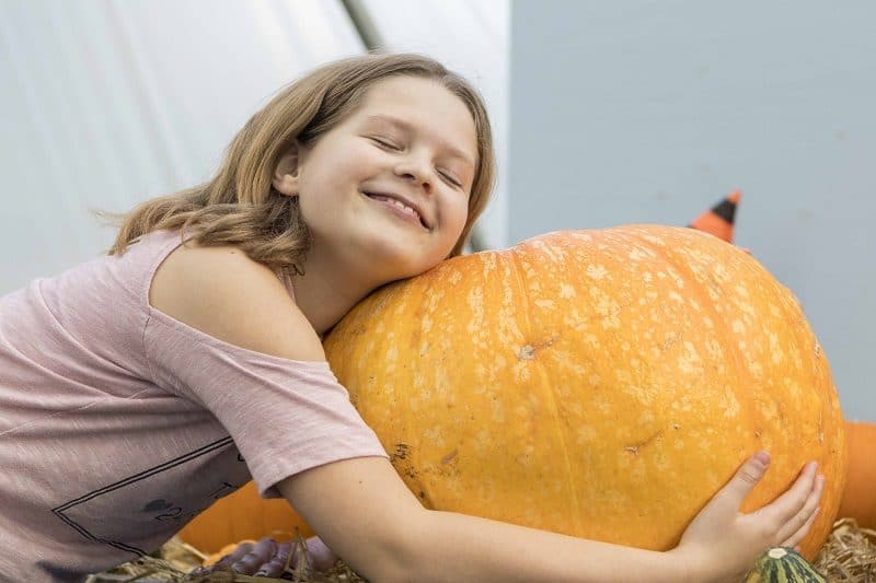 A Visit to Bailey Ridge Pumpkin Patch