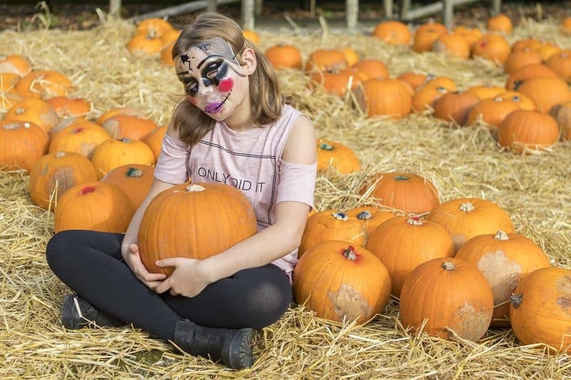 A Visit to Bailey Ridge Pumpkin Patch