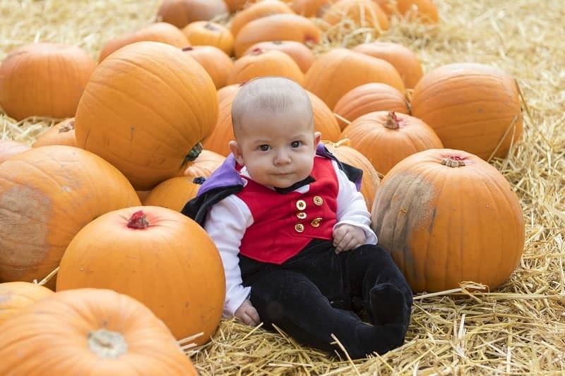 Pumpkin Patch Fun at Bailey Ridge in Dorset