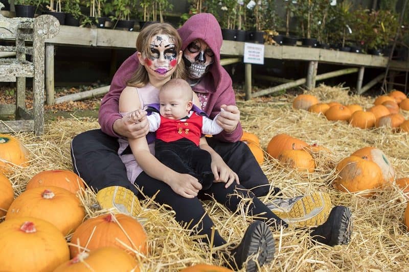 A Visit to Bailey Ridge Pumpkin Patch