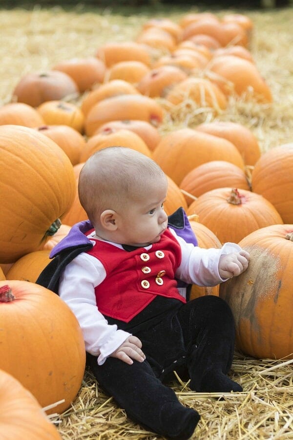 A Visit to Bailey Ridge Pumpkin Patch