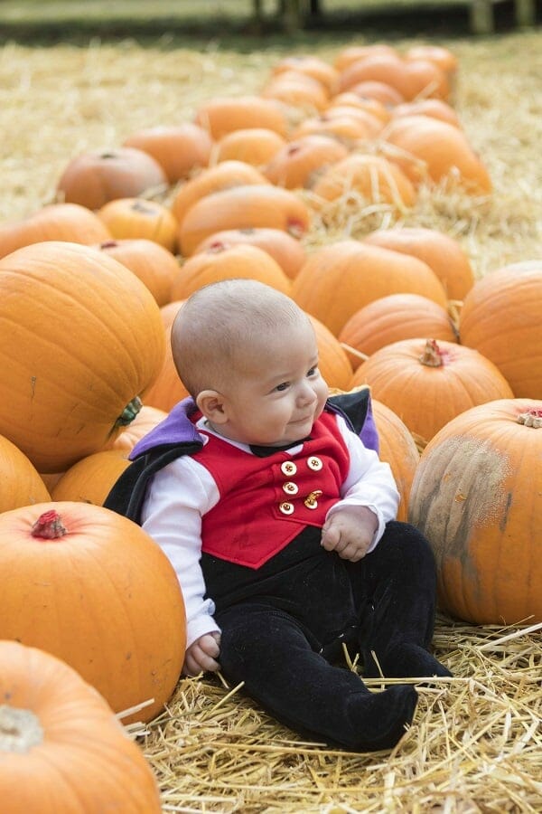 A Visit to Bailey Ridge Pumpkin Patch