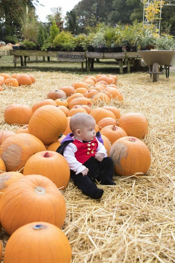 A Visit to Bailey Ridge Pumpkin Patch