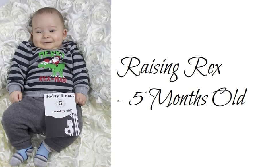Raising Rex – 5 Months Old