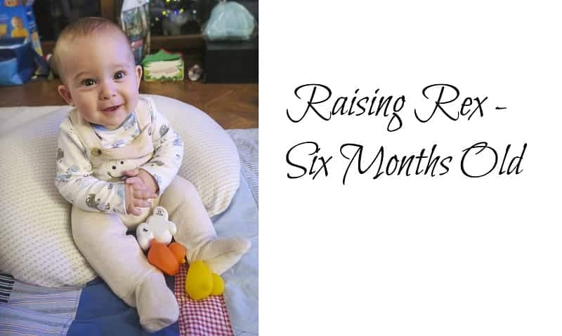 Raising Rex – Six Months Old