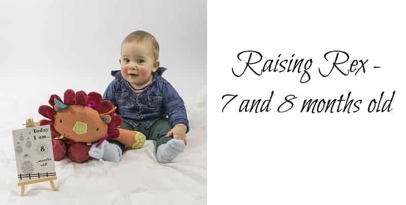 Raising Rex – 7 & 8 Months Old