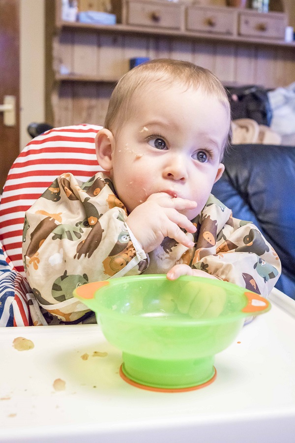 Vital Baby Unbelievabowl Travel Suction Bowl