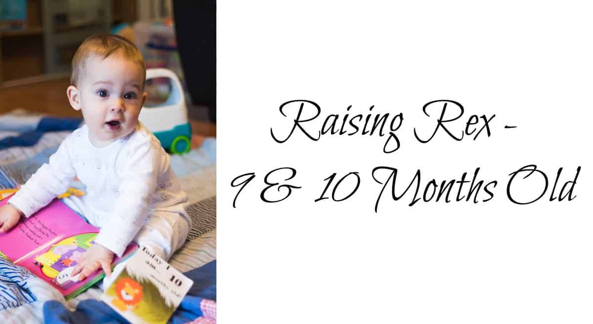 Raising Rex – 9 & 10 Months Old