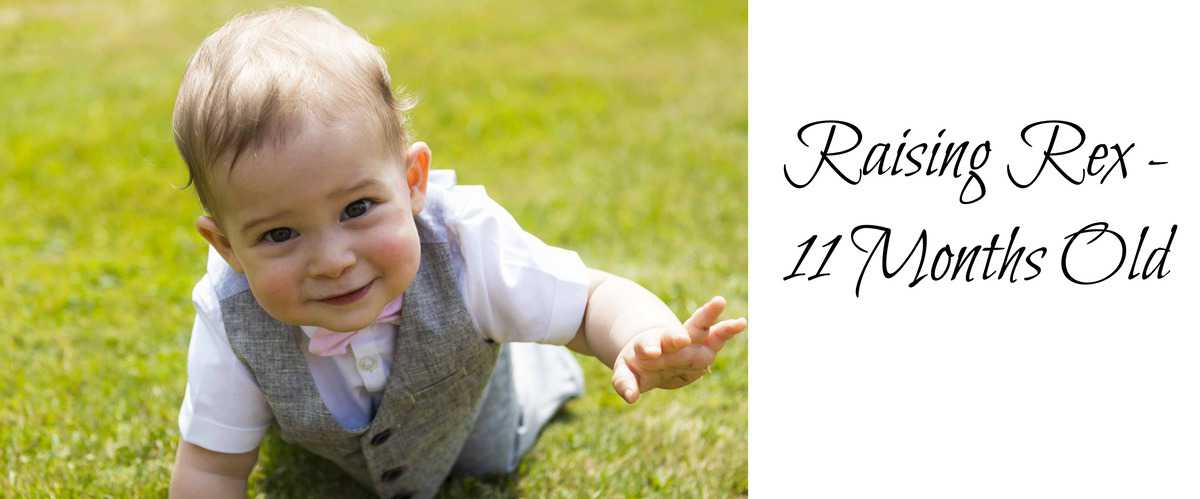 Raising Rex – 11 Months Old