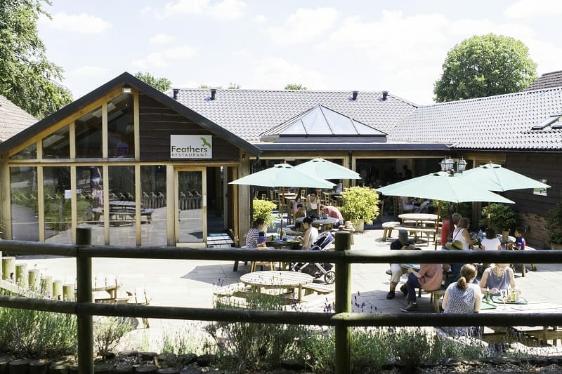 Feathers Restaurant at the Hawk Conservancy Trust