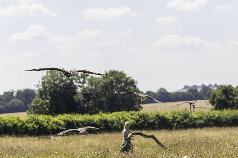 The Hawk Conservancy Trust