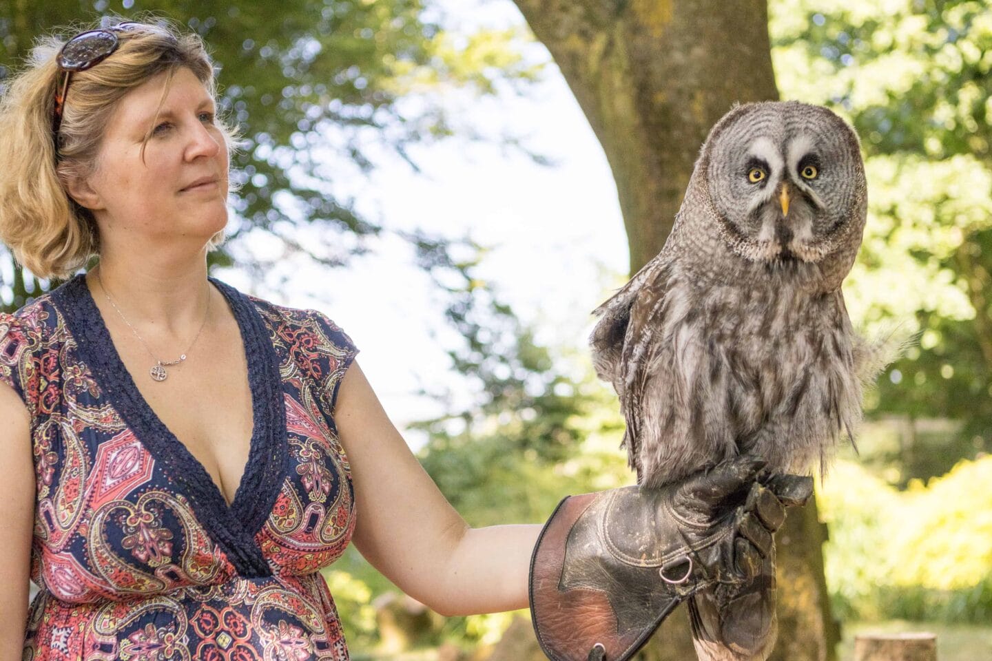 Holding a Great Grey Owl at the Hawk Conservancy Trust