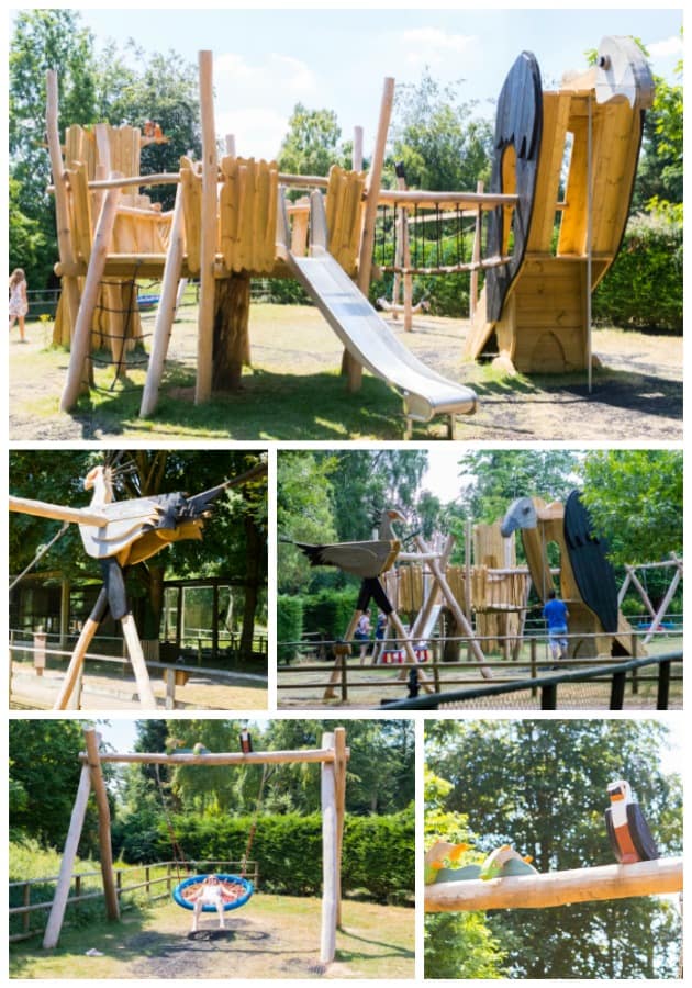 The Playground at the Hawk Conservancy Trust