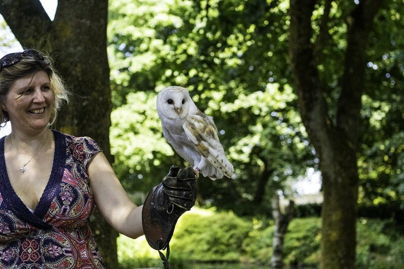 Holding a Barn Owl at the Hawk Conservancy Trust