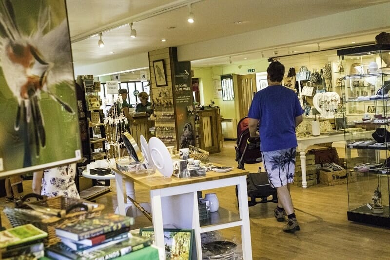 The Hawk Conservancy Trust Shop