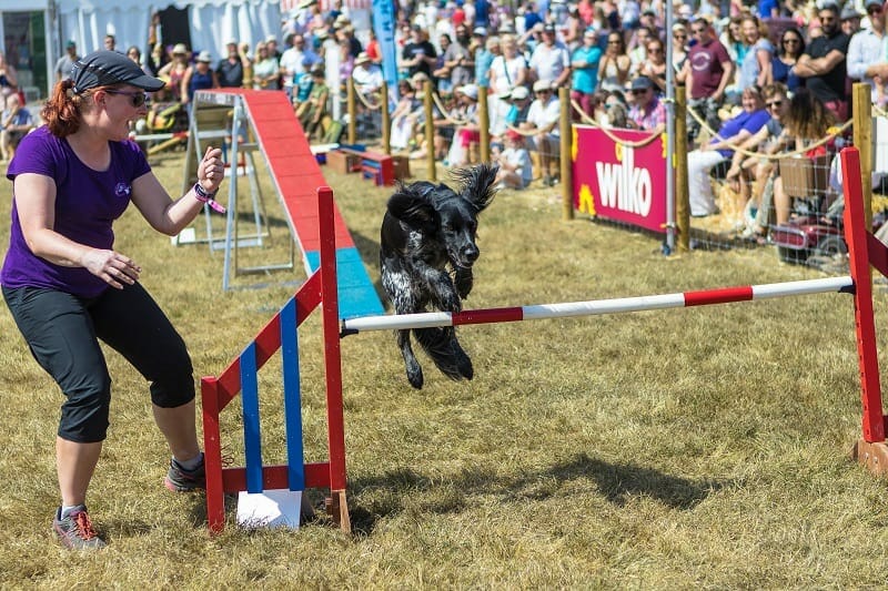 Our Highlights from Countryfile Live 2018 - Victoria Visits...