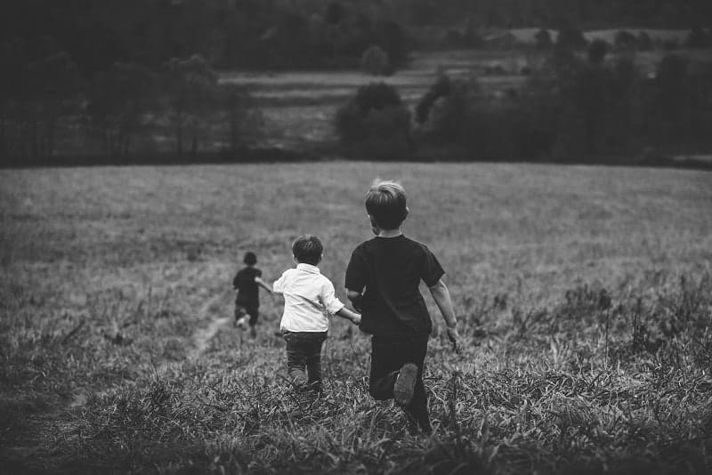 Can I Foster? A Quick Rundown