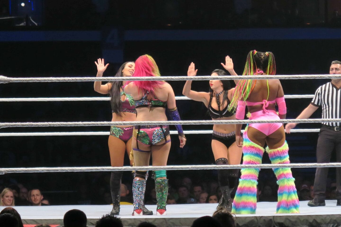 Women's Match at WWE Live UK Cardiff November 2018