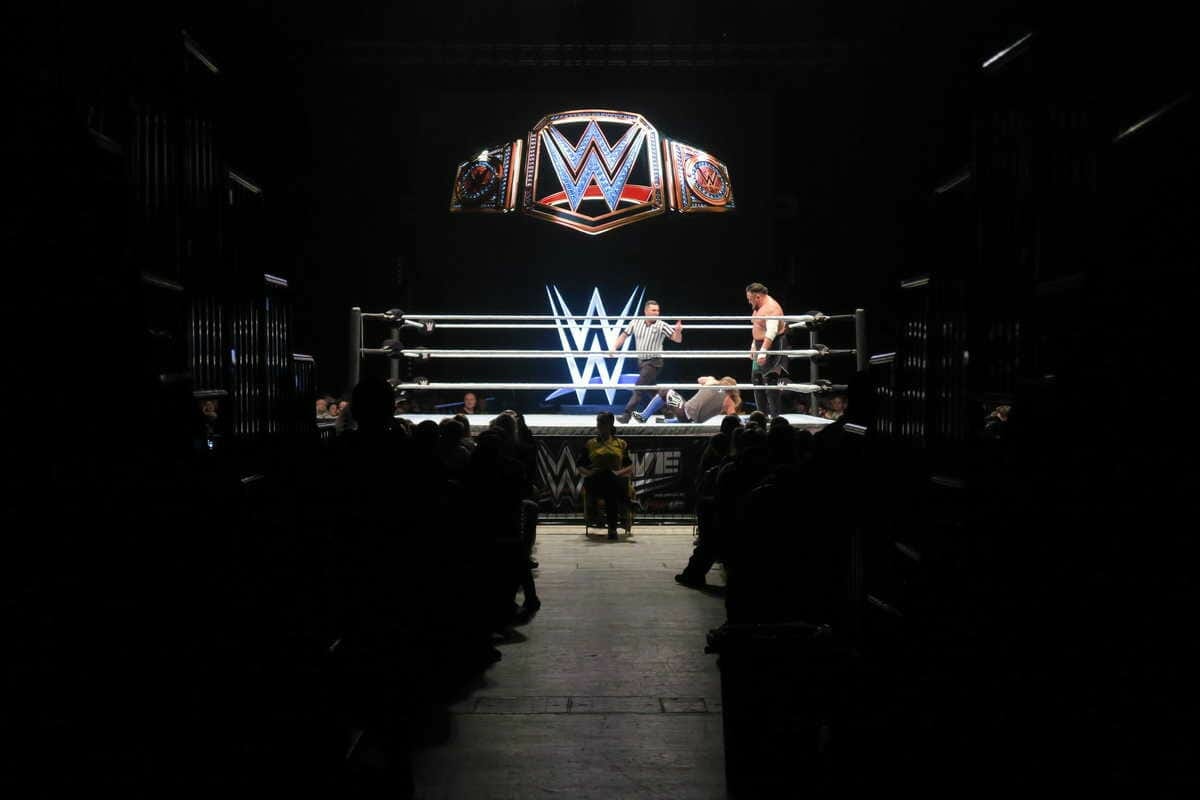 Review of WWE Live UK Cardiff November 2018