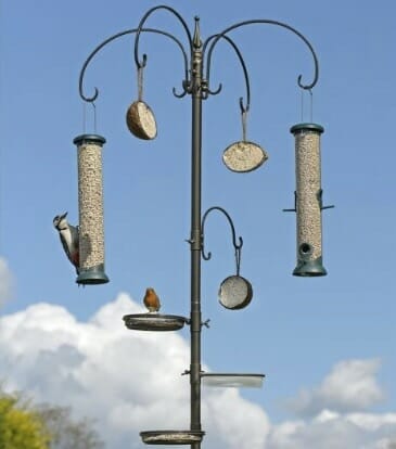 Premium Feeding Station RRP £34.99
