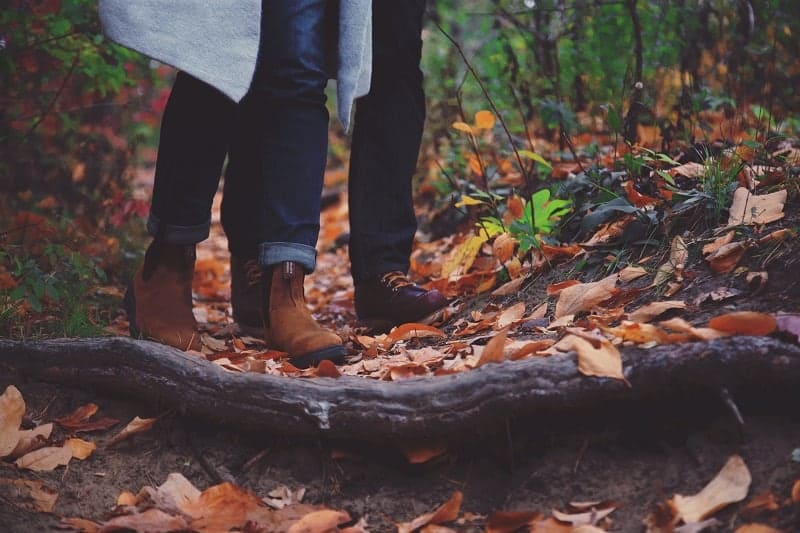 Walking in Autumn Woods for Slimming World
