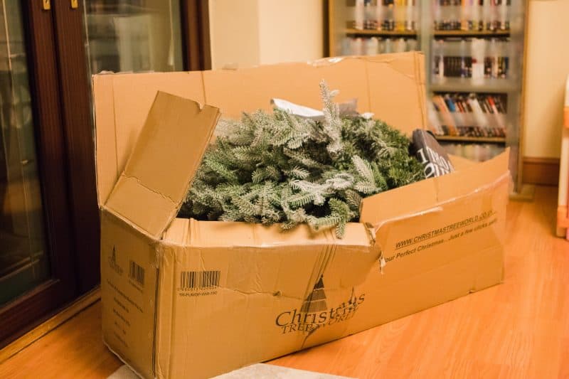 Boxed Christmas Tree from Christmas Tree World