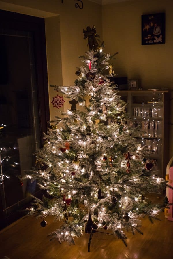 Pre-lit Frosted Ultra Mountain Pine Artificial tree from Christmas Tree World