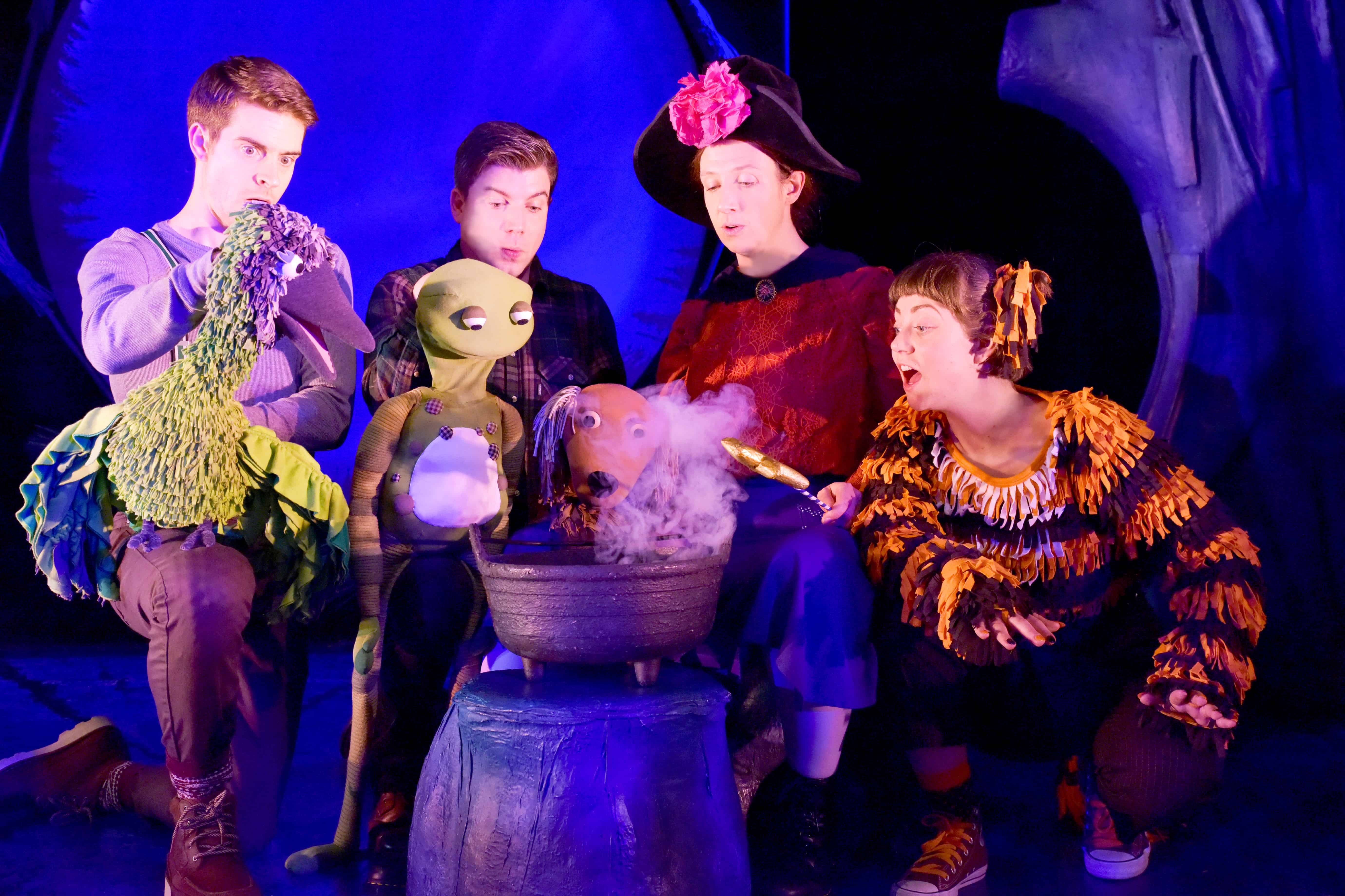 My sister and my nephew recently had the chance to watch Room on the Broom at the Lyric Theatre, London. Here are her thoughts.