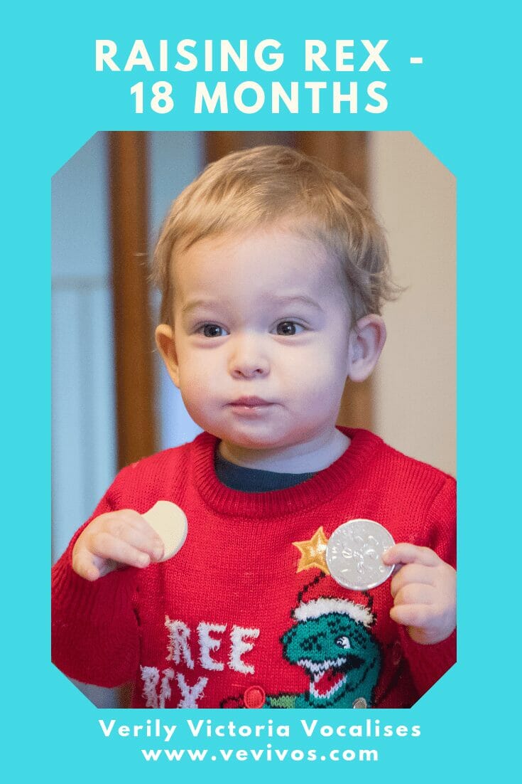 It's been a while since I wrote a Raising Rex post. He is now 18 months old and here is a post on all his current developments.