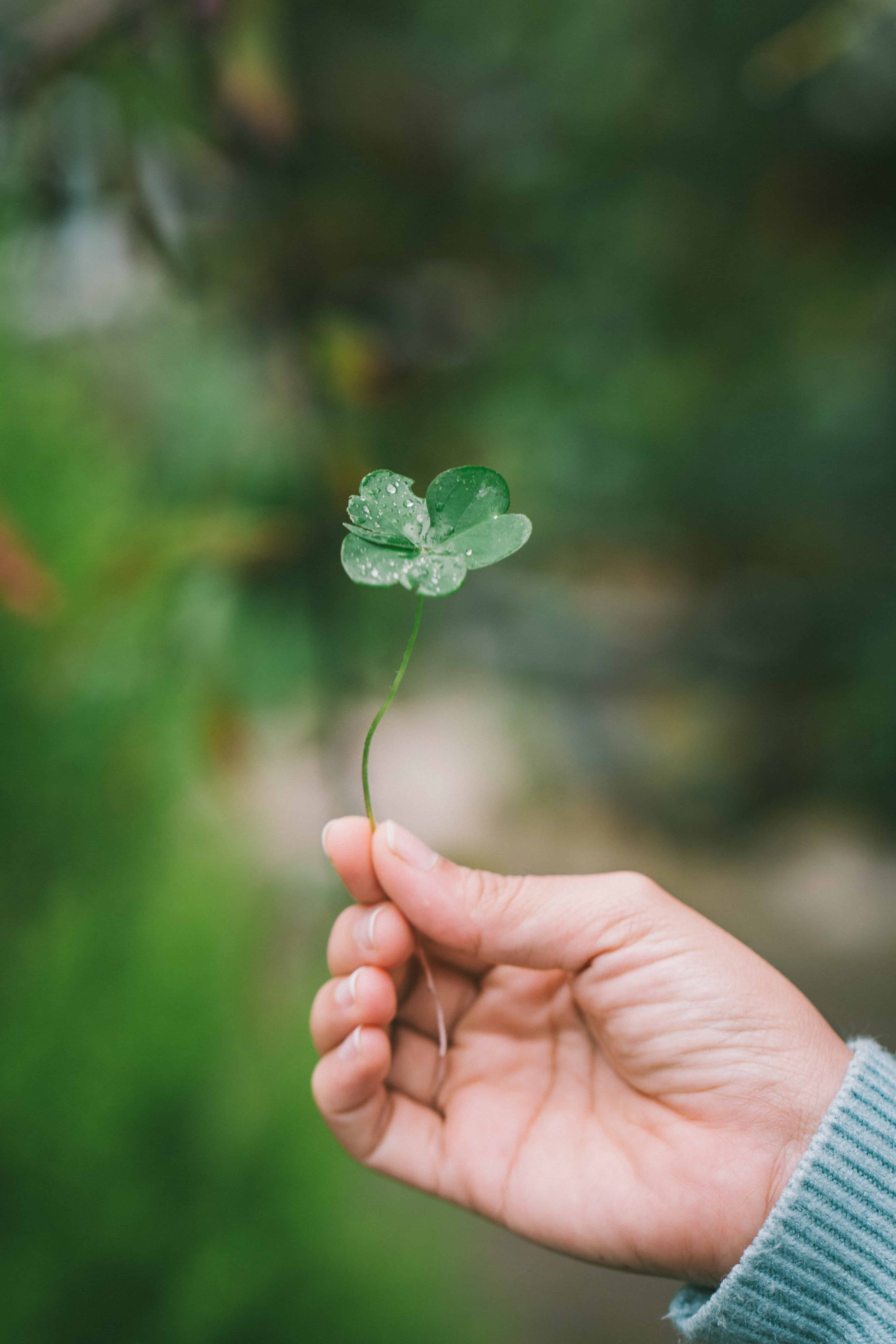 Some people are just born lucky - or are they? Here are some tips on how they work extra hard to make their own luck - all things that you can do as well.