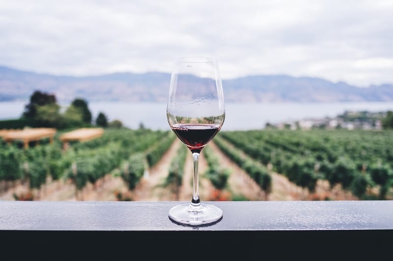 Can Wine Be Healthy?