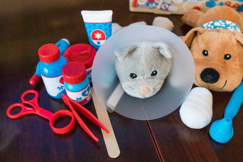 The cat and some items from the Melissa and Doug Pet Vet Play Set