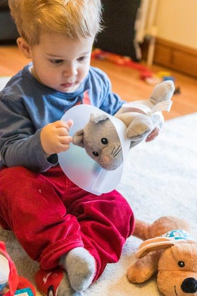 Rex plays with the cat from the Melissa and Doug Pet Vet Play Set