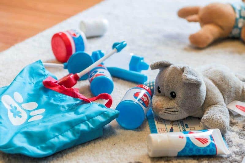 The cat and some items from the Melissa and Doug Pet Vet Play Set