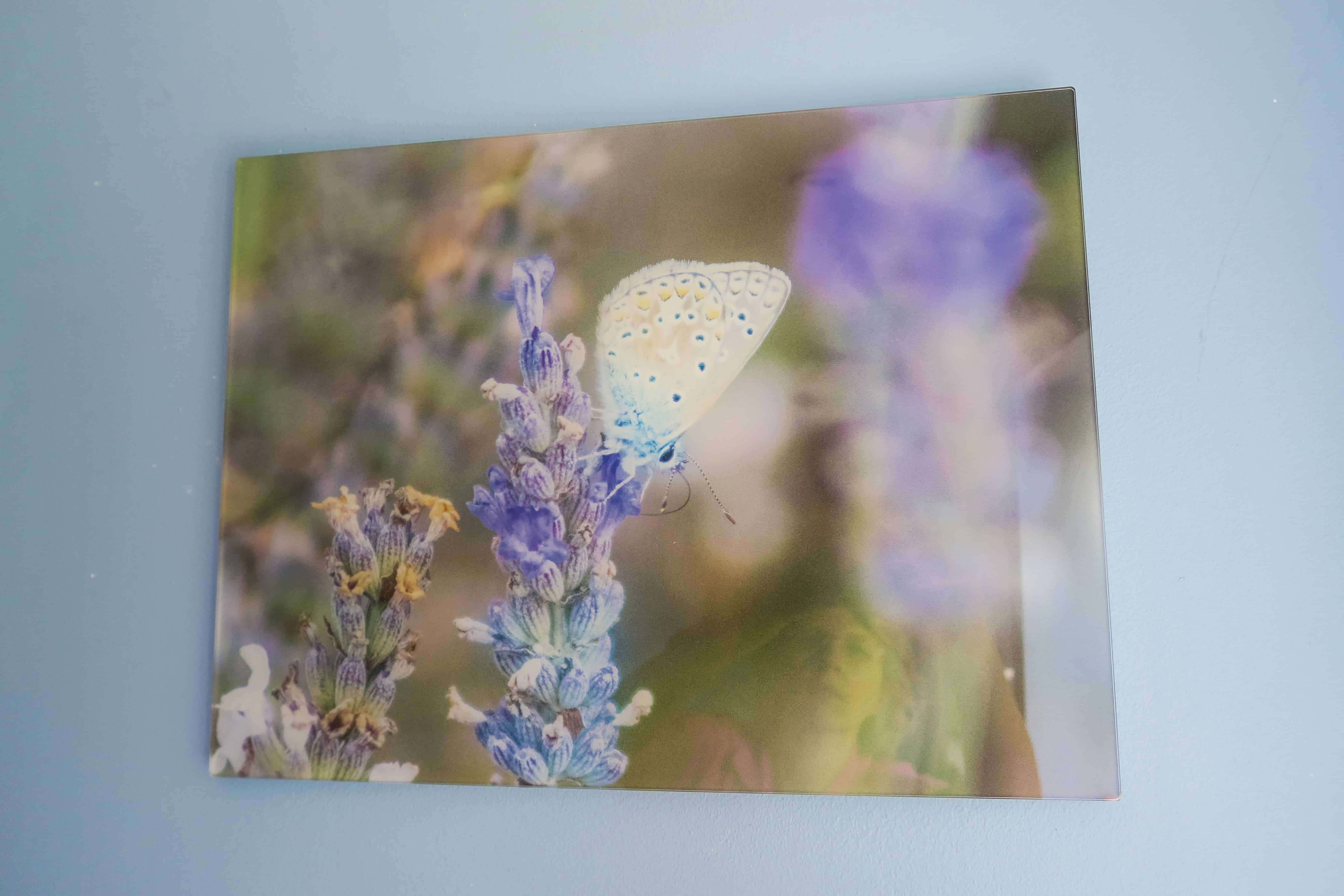 An example of an acrylic print from my-picture.co.uk
