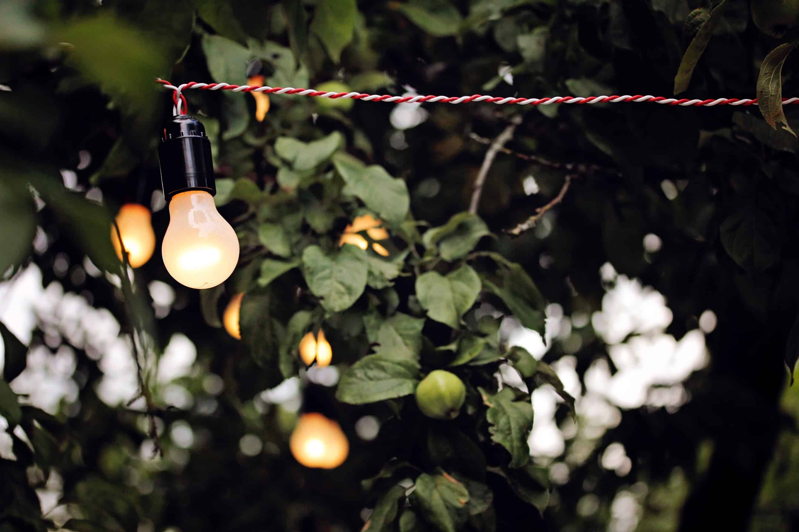 String lights lighting up a garden exterior