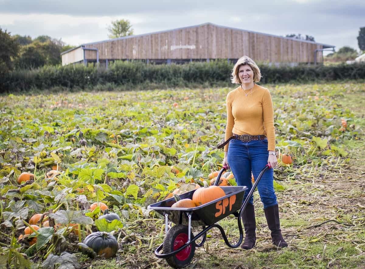 At Schmooks Pumpkin Patch near Ilminster in my new Sandringham Boots from Hotter Shoes