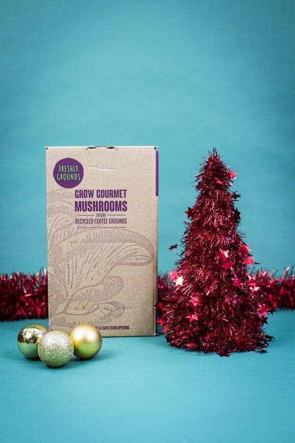 Freshly Grounds set for Growing your Own Mushrooms from recycled coffee grounds included in the clutter-free gift guide